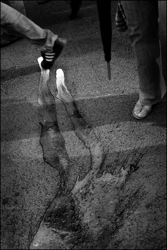 IMG_4442 copy I