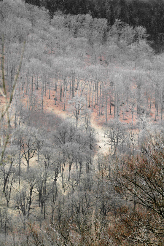 27 12 09_Hukvald_4242 copy I